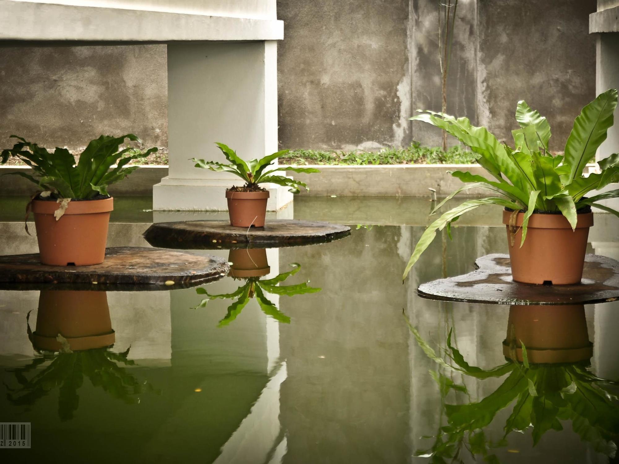 Cleon Villas Pension Puerto Princesa Екстериор снимка